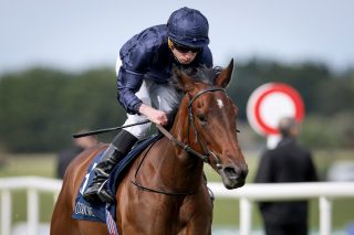 We think we may have seen a few Royal Ascot winners yesterday 👀🏆

✨ Victorious
🐎 Bobby McGee
🔥 Havanna Anna
⭐ Your Song

#RoyalAscotTrialsDay #NurseryOfChampions