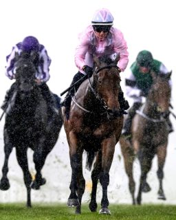 🌟 Could one of these fillies be crowned the 2026 ARKequine Nursery of Champions Flat Filly?

Four meetings into the Flat season and we already have some exciting contenders emerging 👀

🏇 Your Song

🏇 Totally Puzzled

🏇 Sparan Nua

🏇 Victorious

🏇Caught U Sleeping

🏇 Glyfada

Some of these fillies already hold some big entries for later in the season and we can’t wait to follow their journeys 🏆

#NaasRacecourse #NurseryOfChampions #ARKequine #FutureChampions
