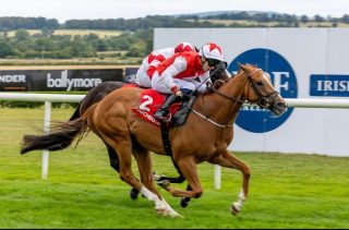 Thank you to @matchbookbettingexchange for sponsoring four races on Monday’s card 🤝 🏇

Congratulations to all the winning connections of:

🔴 Red Evolution
🌾 Dandy Land
✨ Zheleznaya Dama
💎 Diamond Exchange

#NaasRC #NurseryofChampions #Sponsor