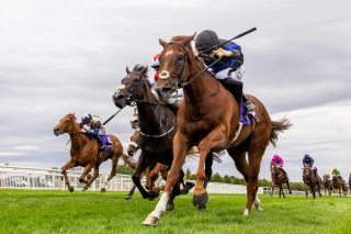 We were delighted to name a race in support of Hurling for Cancer last Monday at Naas Racecourse 🏇

Never The Same took the prize for @josephobrien93 & @dylanbrownemc 🏆 👏

📌 Don’t miss a fantastic event for a great cause on 24th August - tickets available now at *hurlingforcancer.ie