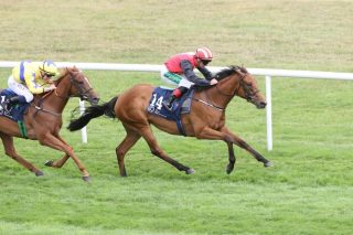 Off the mark in style! 😮‍💨

After catching the eye when second at 100/1 on debut, Maeda Matsu goes one better at Naas, taking the Irish EBF Median Sires Series Fillies Maiden under Rory Cleary for trainer Sheila Lavery 👏

#NurseryofChampions #NaasRC