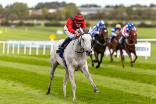 Joseph O’Brien closed out the Flat season at Naas with a treble! 🏆

Formous and Princess Child scored under Joey Sheridan, before Snapretend landed the Listed Bluebell Stakes under Jamie Powell, leading home a one-two for the yard! 👏🐎

Congratulations to all the winning connections! 

#Treble #FlatFinale