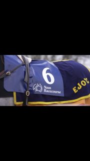 Jump season at Naas Racecourse is loading… 🏇

Crisp afternoons, familiar faces and the cheer as they jump the last. We’ve missed this! 🤩

It all returns on Sunday, 8th November.

Just TWO WEEKS to go! ⏳