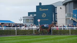 This is what Cheltenham Trials Day at Naas Racecourse looks like 👀🔥
Big races. Future Festival stars. Great atmosphere.

Relive the buzz from previous years — and get ready for it again next Saturday, 7th February 🏇✨

🎶 Live music
🏉 Six Nations action
🍻 Great atmosphere

🎟️ Just €15 when you book in advance
👉 Book now & be part of it.